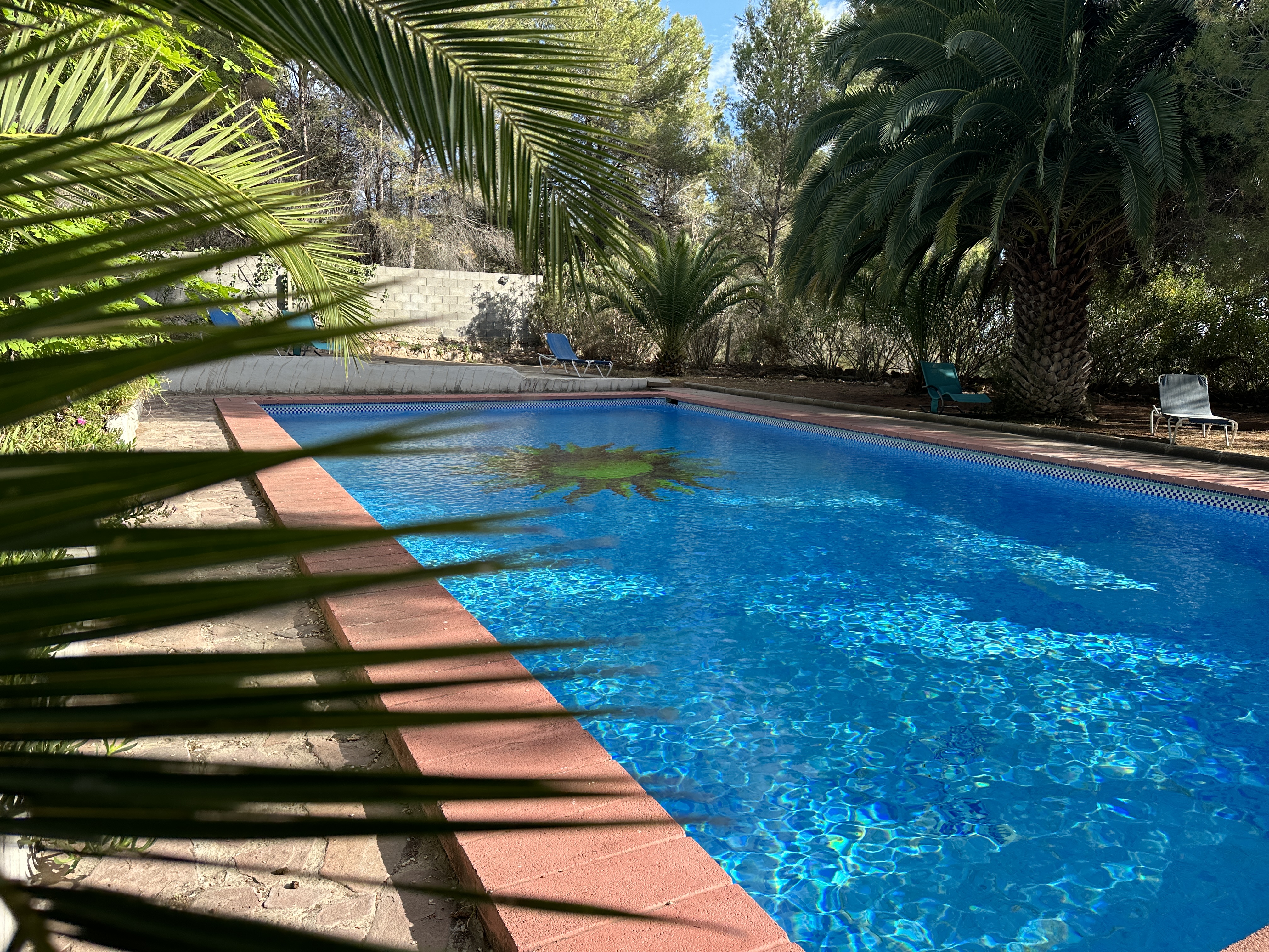 Natural pool surrounded by palms and Mediterranean nature at EkkoFarm in Bétera, Valencia